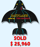 Bat Man Bat Plane